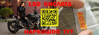 Альфа ПВП Кингисепп