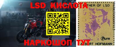 Альфа ПВП Кингисепп