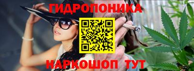 Альфа ПВП Кингисепп
