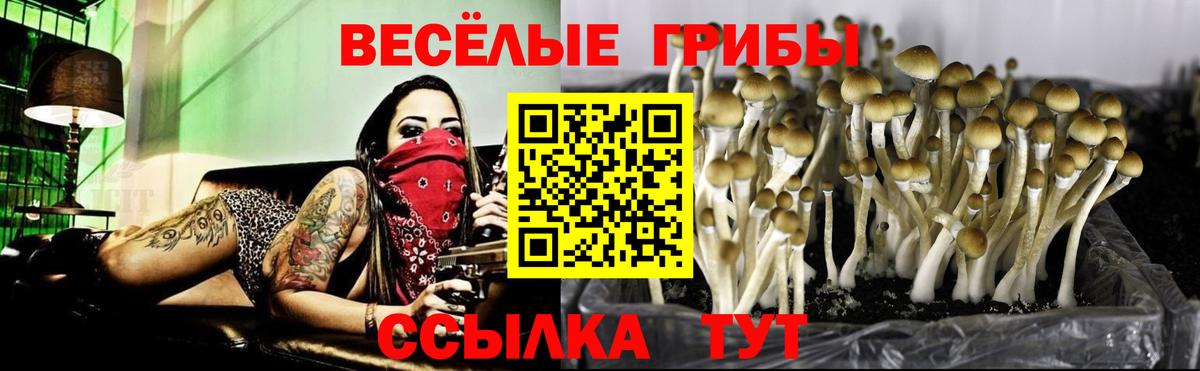 Галлюциногенные грибы MAGIC MUSHROOMS Великий Новгород