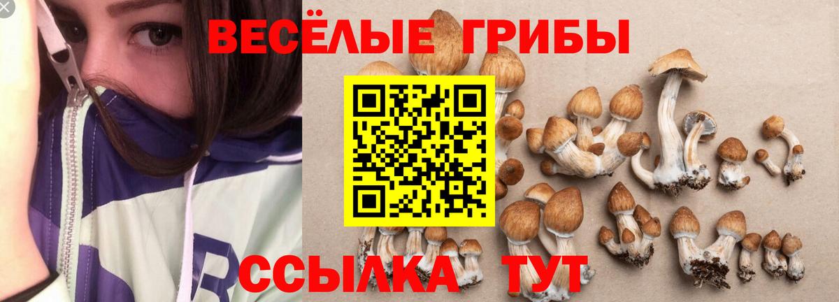 Галлюциногенные грибы MAGIC MUSHROOMS  купить наркотик  Великий Новгород  Вход с VPN 